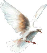 eine Taube: sie stellt den Heiligen Geist dar, um mit dem Himmel Kontakt zu haben