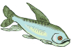 Ein Fisch